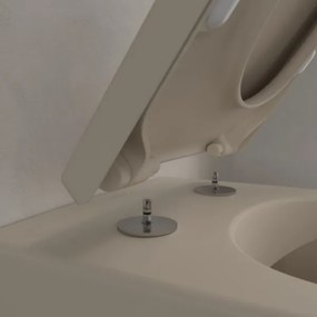 Villeroy & Boch 5614R0AM - Vas WC suspendat SUBWAY 2.0 ceramică/bej