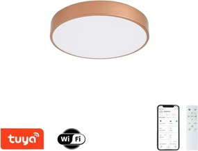 Brilagi-LED Corp de iluminat cu dimmer POOL SMART LED/48W/230V 40 cm Wi‑Fi Tuya, bronz + telecomandă