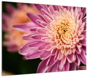 Tablou detailat cu flori (70x50 cm), în 40 de alte dimensiuni noi