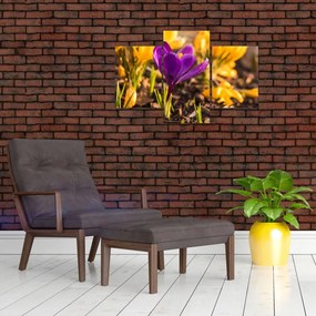 Tablou cu floare violetă (90x60 cm)