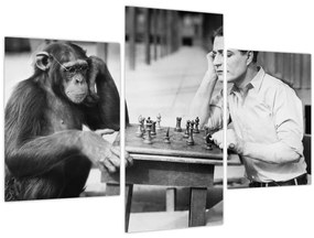 Tablou - Circ 2 (90x60 cm)