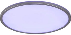 Rabalux 2290 - Plafonieră LED RGB dimabilă RASMUS LED/22W/230V + telecomandă