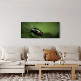 Tablou - Musca (120x50 cm)