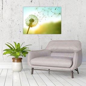 Tablou pe sticlă - Păpădia în vânt (70x50 cm)