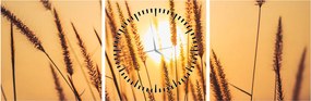 Tablou - Iarbă la soare (cu ceas) (90x30 cm)