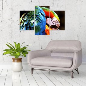 Tablou - Papagal (90x60 cm)