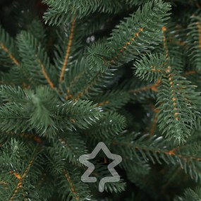 Molid Canadian 100 % 150 cm