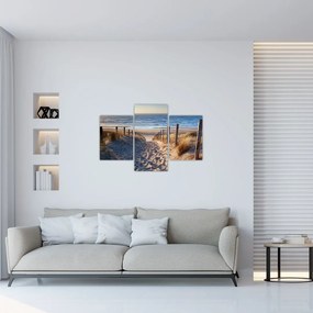 Tablou - Drum spre plaja din Marea Nordului, Țările de Jos (90x60 cm)