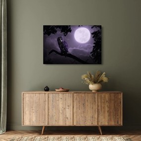 Tablou - Bufniță de noapte, violet (90x60 cm)