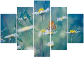 Tablou - Fluture pe margaretă (150x105 cm)