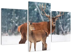 Tablou - Ceb și căprioare (90x60 cm)
