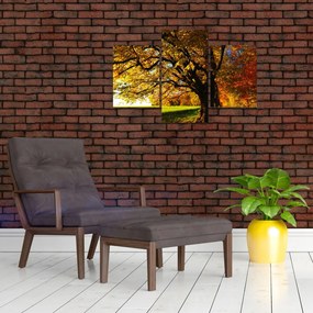 Tablou cu toamna (90x60 cm)