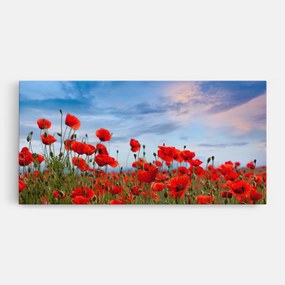Tablou Canvas, 40x80cm, Dormitor si Living, Flori, Maci, Poppy Field