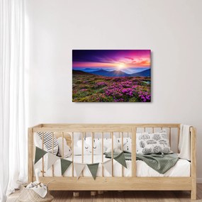 Tablou - Munte înflorit peisaj (90x60 cm)