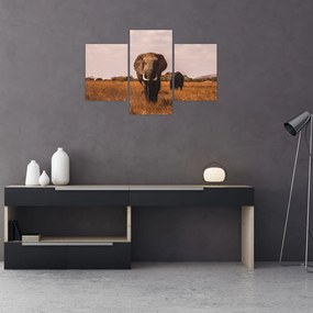 Tablou - Venirea elefantului (90x60 cm)