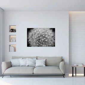 Tablou păpădie gri (90x60 cm)