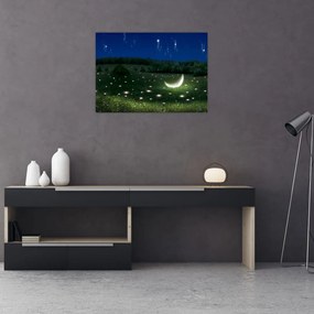 Tablou - Cer căzător (70x50 cm)