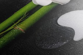 Tablou Spa natura moartă și pietre Yin și Yang