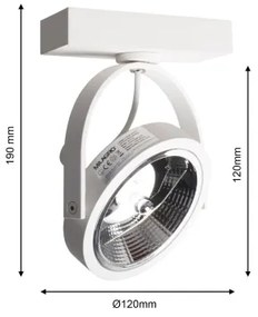 Spot de perete LUGAR 1xAR111 - GU10/25W/230V