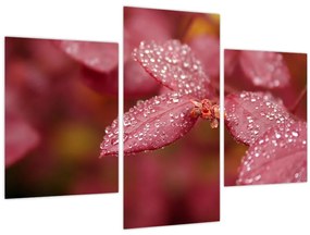 Tablou - Imagine macro a biletului (90x60 cm)