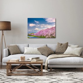Tablou - Peisaj de primăvară japonez (70x50 cm)