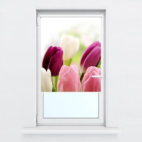 Fotojaluzele R012125R57150 (57x150 cm)
