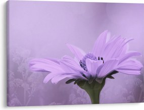 Tablou - Flori mov (70x50 cm)