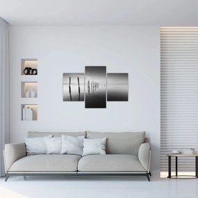 Tablou cu nivelul de lac alb negru (90x60 cm)