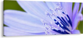 Tablou - Floare (120x50 cm)