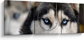 Tablou cu câinele husky (cu ceas) (90x30 cm)
