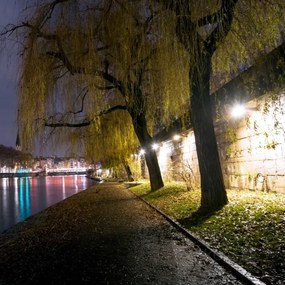 Proiector LED de exterior LED/50W/230V 4000K 6500 lm IP65 IK06