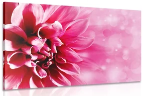 Tablou floare roz
