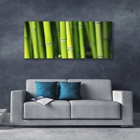 Tablou pe panza canvas Bamboo Natura Verde
