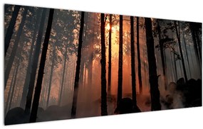 Tablou cu pădure întunecată (120x50 cm), în 40 de alte dimensiuni noi