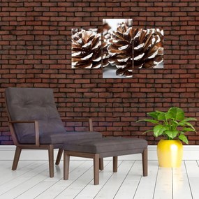 Tablou - Gogoși (90x60 cm)