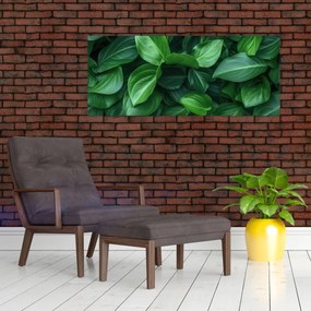 Tablou - Frunze verzi (120x50 cm)