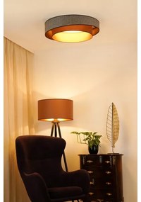 Plafonieră LED dimabilă Brilagi VEGAS SHINE LED/24W/230V d. 60 cm maro + telecomandă