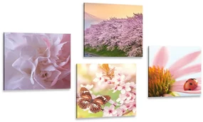 Set tablouri înflorirea naturii