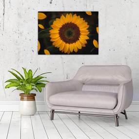 Tablou - Floarea soarelui și petale (70x50 cm), în 40 de alte dimensiuni noi