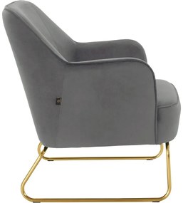 Fotoliu gri cu tapițerie din catifea Joshua - Støraa