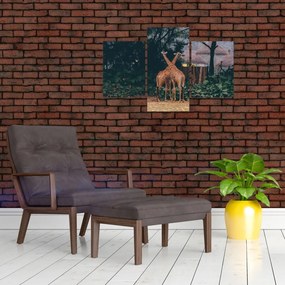 Tablou cu două girafe (90x60 cm)