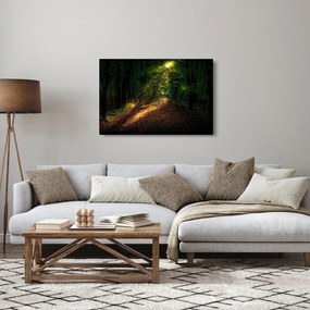 Tablou cu poteca prin pădure (90x60 cm)