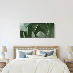 Tablou - Agave verde (120x50 cm)