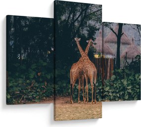 Tablou cu două girafe (90x60 cm)