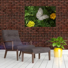 Tablou - fluture alb (90x60 cm)