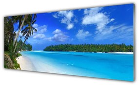 Tablouri acrilice Plaja Palms South Sea Peisaj Albastru Verde