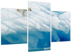 Tablou - Ursul polar (90x60 cm)