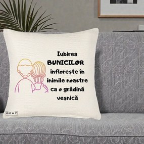 Cadou pentru Bunici - Perna Personalizata Iubirea Bunicilor Infloreste Cuplu Line Art Gradient, 40x40 cm, Crem Reliefat, Husa Detasabila, Perna Inclusa, BEKZ®