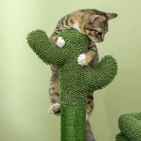 PawHut Turn pentru Pisici sub 5kg, Design Cactus din Lemn, cu Pat, 68x30x67cm, Verde, Unic și Stilat | Aosom Romania