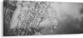 Tablou - Pajiște după ploaie (120x50 cm)